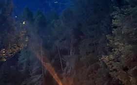 APPARTAMENT La locanda nel bosco